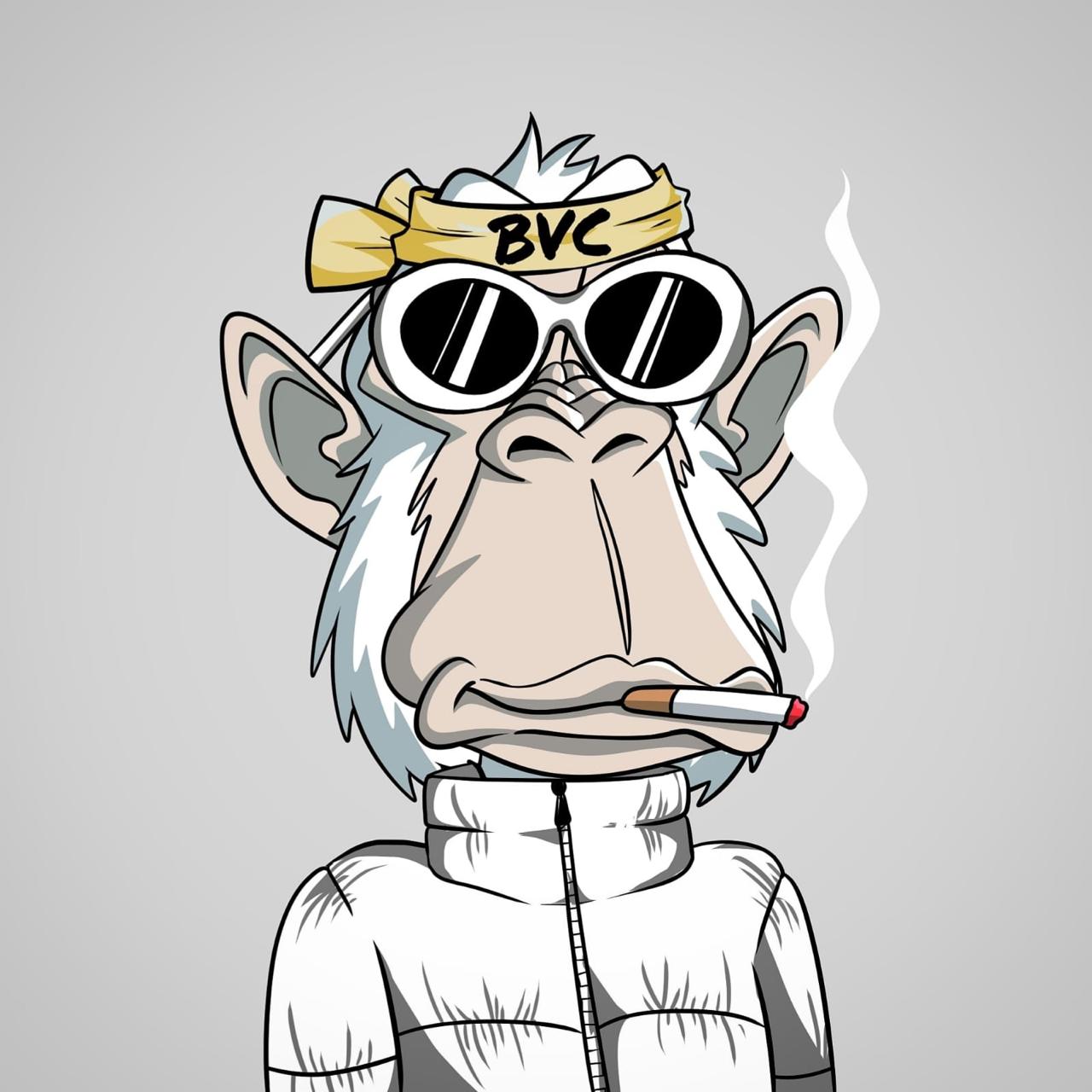 Brand Logo - BVC Store